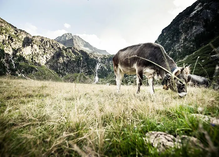 Daire Zeitlos. °18 Mieders